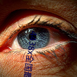 4438x全国最(zuì)大