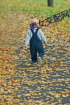 男(男)女交(交)配网站(站)