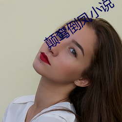 颠鸾倒凤小(小)说