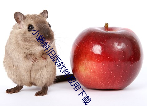 小蝌蚪旧版软件应用下载