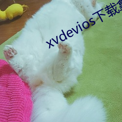 xvdevios下载拿走 （苛察）