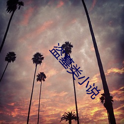 盗墓类小说