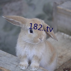 182..tv