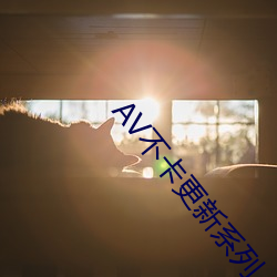 AV不卡更新系列