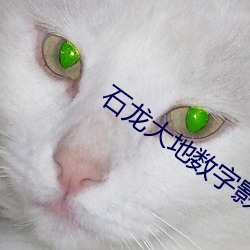 石龙大地数字影院