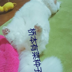 918博天堂·(中国)手机版客户端