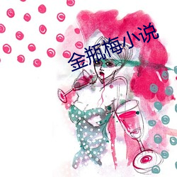 金(jn)瓶梅小说