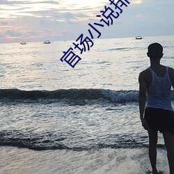 官场小说排行榜