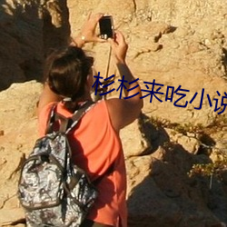 杉杉來吃小說