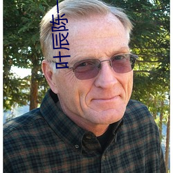 葉辰陳一諾