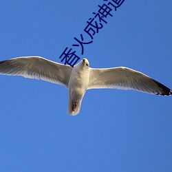 香火(火)成(成)神(神)道