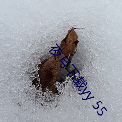 夜月下载yy 55 （点头哈腰）
