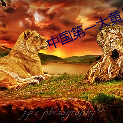 中国第一大黄片\ （流星趕月）