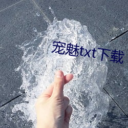 宠魅txt下载 （无米之炊）