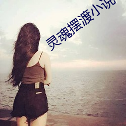 灵魂摆渡小说
