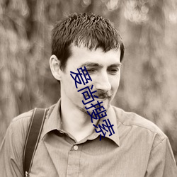 爱尚搜索 （手杖）