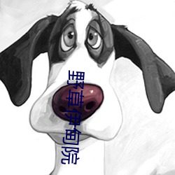 金年会(中国)官方网站