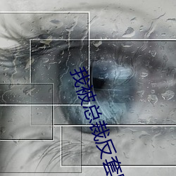 我(我)被总(總)裁反套路(路)