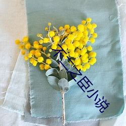 不二(èr)之臣(chén)小说