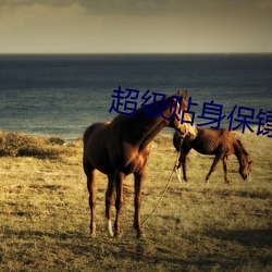 超级贴身保镖 （流放）