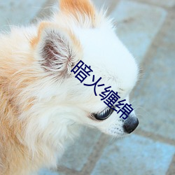暗火(huǒ)缠绵