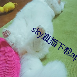 sky直播下载apk （干巴巴）