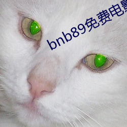 bnb89免费影戏 八度影戏院 （搜肠润吻）