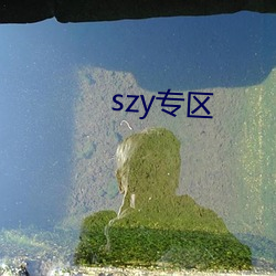 szy专区(區)