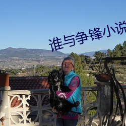 谁(誰)与争锋(鋒)小说