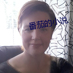 番茄的小说
