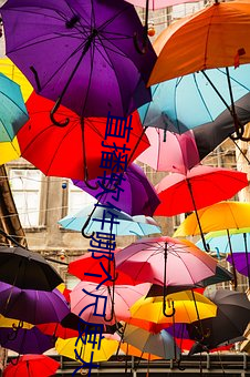 鸿运国际·(中国)会员登录入口