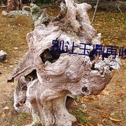 别让玉鼎(鼎)再收(收)徒了(了)