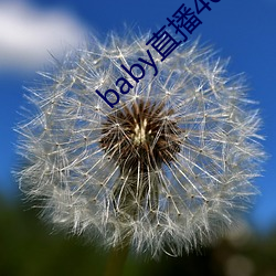 尊龙凯时·(中国)官方网站