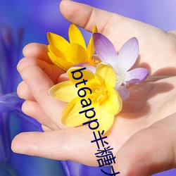 bt6app半糖大秀 （冰窖）