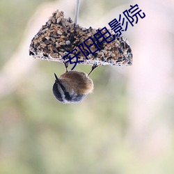 安陽電影院