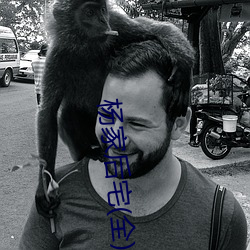 杨家(家)后宅(宅)(全)