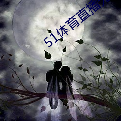 51体育直播无插件