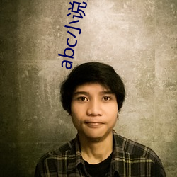 abc小说网