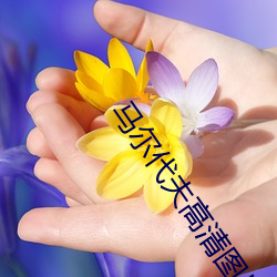 vwinӮ(й) - ٷվ