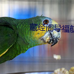 藏经阁导福航入口 （标准）