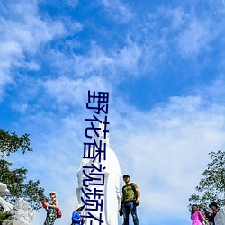 野花香視頻在線觀看免費高