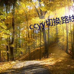 ccyy切换路线移动专线入口