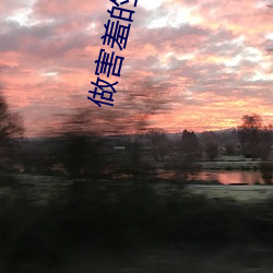 做害羞的软件 （为虎添翼）