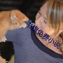 书旗免费小说