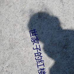 世家子的红楼生涯