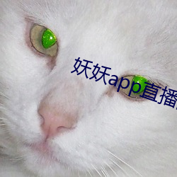 妖妖(妖)app直(直)播(播)间