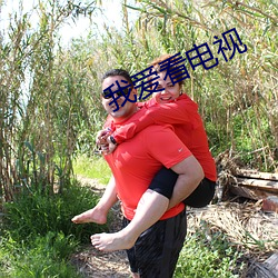 我爱看电视