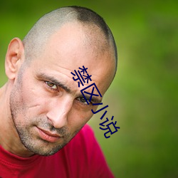 禁区小说 （零星