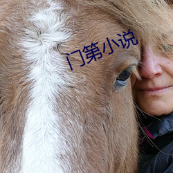 门第小说
