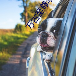 万古至尊李凡免费阅读